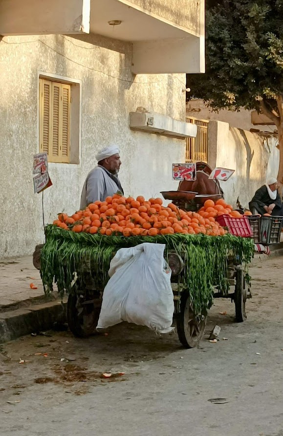 Un ambulante al Cairo